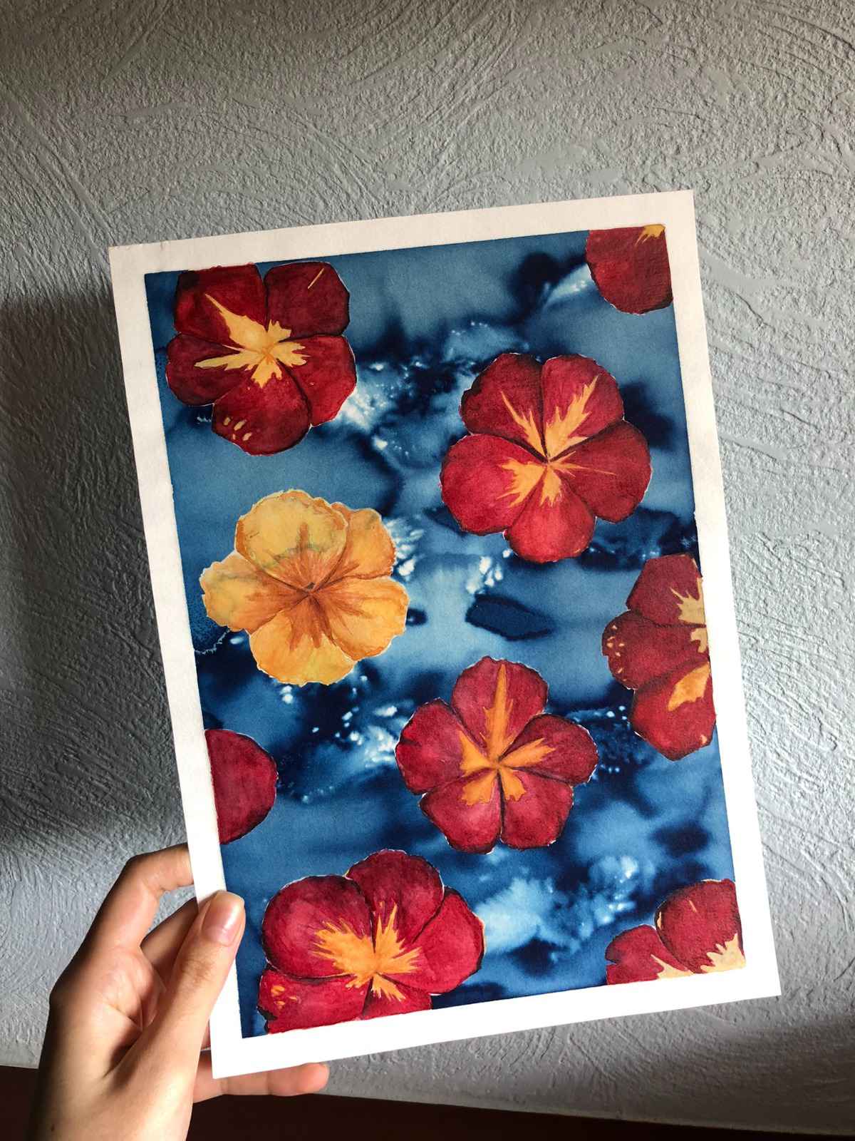 Cianotipia com Aquarela