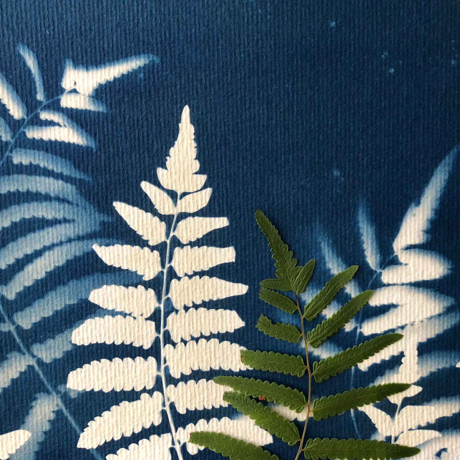 Coleção Imprevisibilidade Azul