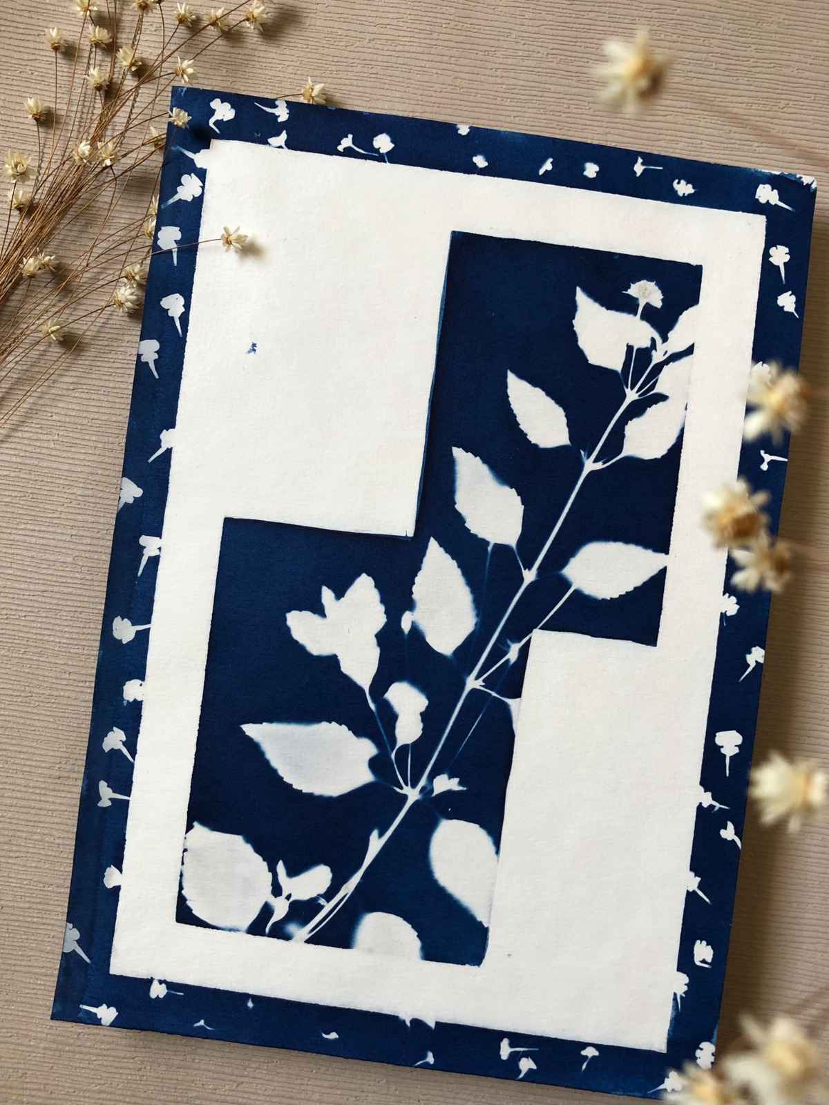 Cianotipia Clássica